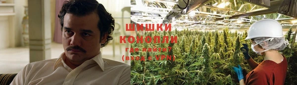 спиды Аркадак