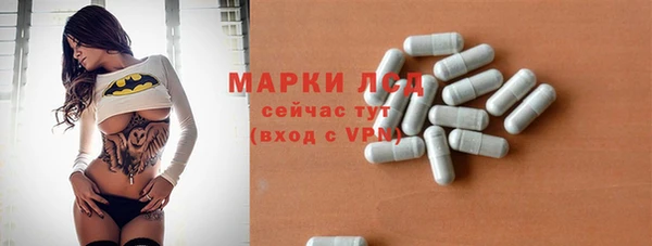 ГАЛЛЮЦИНОГЕННЫЕ ГРИБЫ Арсеньев
