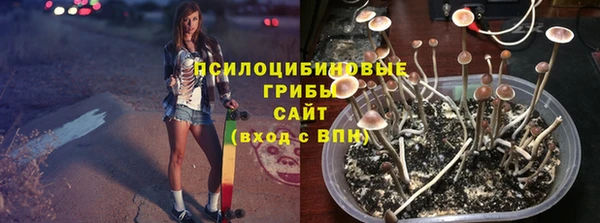 спиды Аркадак