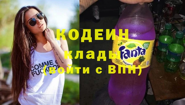 ГАЛЛЮЦИНОГЕННЫЕ ГРИБЫ Арсеньев